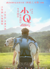精品一区二区在线视频